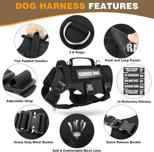 WINSEE Service Dog in Training Vest, Tactical MOLLE Vest for Large Dog, 10 Pet Patches, 2 Handles