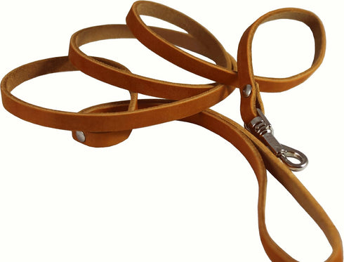 Genuine Leather Classic Dog Leash - 4' Long, 3/8" Wide, Ideal for Puppies and XSmall Breeds
