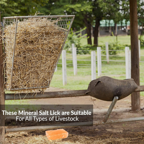 100% 6 LBS, Pack 2 Licking Salt for Horse, Pure Himalayan Pink Salt Chunks, Animal Feed Salt Chunks, Horse Salt Licks
