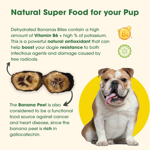 Dehydrated Bananas, Pure Treats, Small Batch Dehydrated, Considered a Super Food