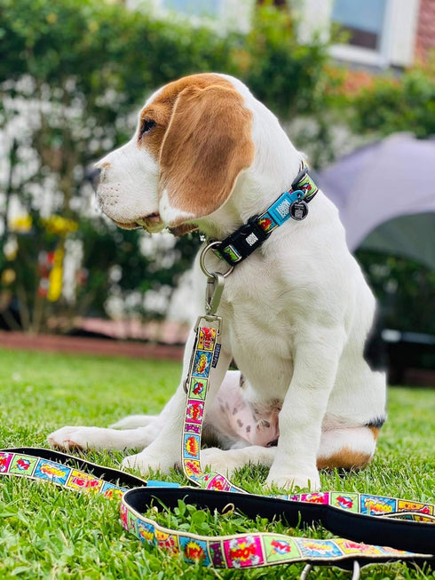 Max & Molly Comic Cartoon Dog Collar with Safety QR Code Dog Tag - Soft, Adjustable, & Waterproof Collar, Cute Summer Themed Designs for both Girl and Boy Dogs & Puppies, Small