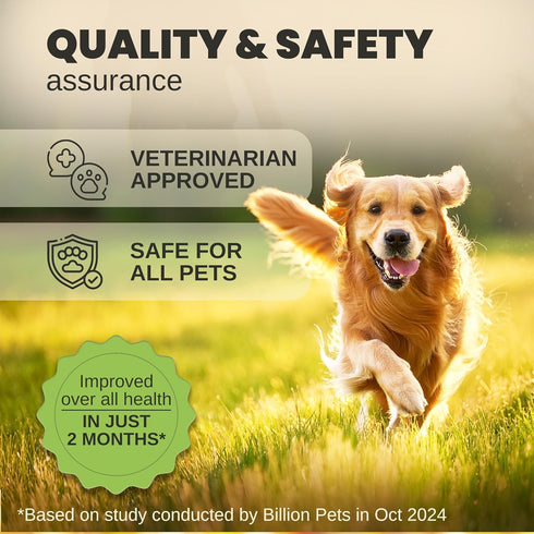 Billion Pets - Hemp Oil for Dogs and Cats - Helps with Anxiety, Pain, Stress, Sleep, Arthritis, Seizures Relief - Hip