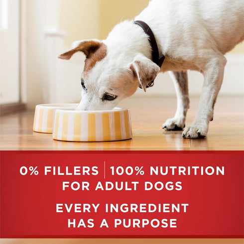 Pack (Pack 12) Purina ONE Tender Cuts in Gravy Chicken and Brown Rice and Beef and Barley Entrees High Protein Wet Dog