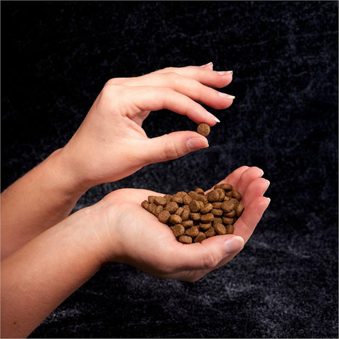 CRAVE Grain Free High Protein Adult Dry Dog Food, Beef, 4 lb. Bag
