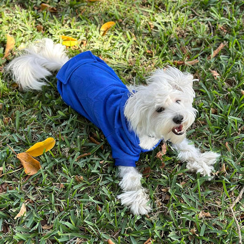 Jecikelon Winter Dog Hoodie Sweatshirts with Pockets, Warm Clothes for Small Dogs Chihuahua Coat (Dark Blue, Small)