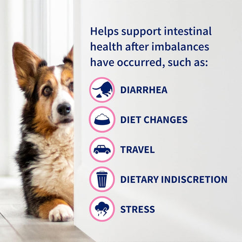 30 ml 10 Nutramax Proviable Probiotics for Dogs, Diarrhea Support Kit, Digestive Health Supplement with Multiple