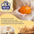 Large 5" Dog Pet Hair Massaging Brush Grooming Tool for Cats, Dogs, Long or Short Hair, Tangerine Orange