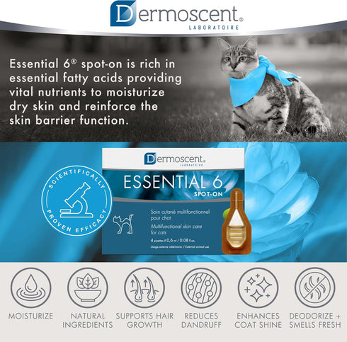 6 Bayer Dermoscent Essential Spot On Skin Care for Cats Pet Itch Remedies