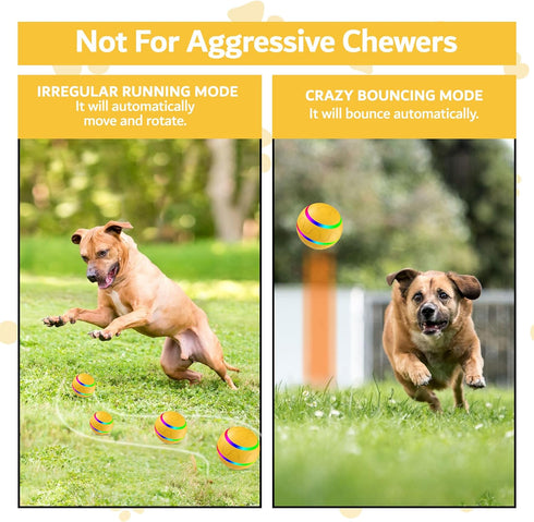 New Interactive Dog Toy Ball with Remote Control, Self Rolling USB Rechargeable Ball