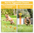 New Interactive Dog Toy Ball with Remote Control, Self Rolling USB Rechargeable Ball