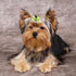 PET SHOW 20 Pairs Big Bowknot Dog Hair Bow Clips with French Barrette for Small, Medium, Large Dogs