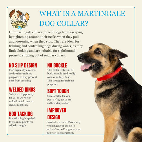 Country Brook Petz Martingale Dog Collar - Heavy-Duty No Buckle Training Collar for All Pups (Hot Orange, 1 Inch, Large)