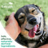 TropiClean Dog Dental Hygiene Fresh Breath No Brush Total Care Kit | Easy Teeth Cleaning Water Additive