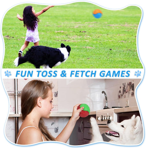 6Pcs Squeaky Dog Balls, Tough Training Toys for Dogs, High Bouncy Balls for Interactive Play and Teething (2.5in)