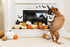 Fringe Studio Plush Dog Toy - Durable Multicolored Bat's The Way It Is, Fun for Dogs