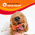 12 Good'n'Fun Triple Flavored Rawhide Kabobs for Dogs, Beef, ounces