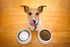 DrFormulas Probiotics for Dogs & Puppies, Diarrhea Treatment, Flavorless, 23 Premium Doses with Saccharomyces Boulardii