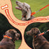 Martingale Dog Collar, Light-Reflective Polyester Collars for Whippets, Greyhounds, and Safety Training