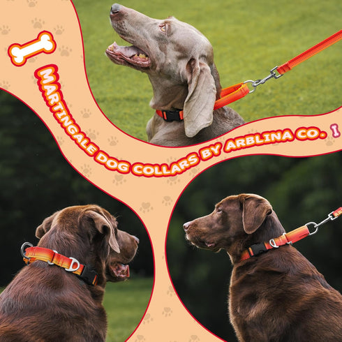 Light-Reflective Martingale Dog Collar for Whippets, Greyhounds, Saluki, American Bully - Adjustable Heavy Duty No-Pull