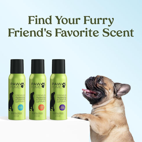 PAWFUME Premium Grooming Spray Dog Deodorizer Perfume - Long Lasting Cologne Spray for Dogs (Blue Ribbon, 2-Pack)
