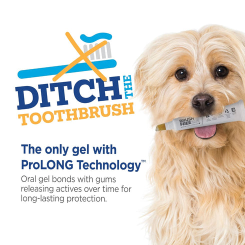 Brush Free Oral Gel for Dogs | Vet Formulated Dental Care with ProLong Technology for Cleaning Teeth and Gums