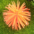 TEHAUX Simulation Sea Urchins Coral, Aquarium Fish Tank Decoration, Elastic Coral Crafts Ornament (Orange)