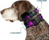 Dog Collar Plastic Clip, Harley Quinn Pow Aiming Poses Joker, 11 to 17 Inches, 1.0 Inch Wide