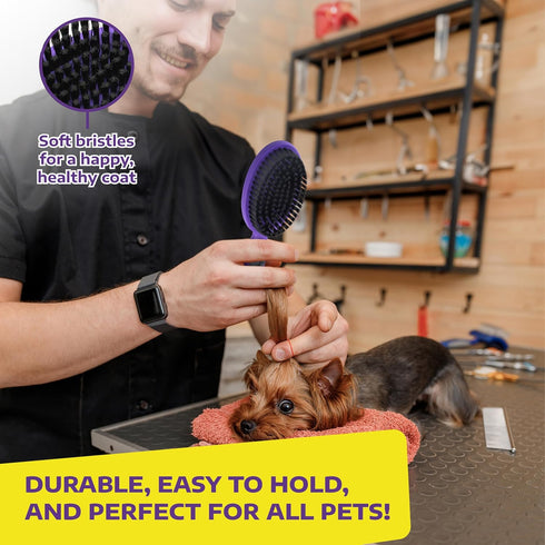 Hertzko Bristle Brush for Dogs and Cats - Long or Short Hair, Single Sided Dense Bristles Remove Loose Hair, Tangles,