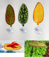3 Pcs Artificial Plant Leaf Betta Hammock - Fish Rest Bed for Aquariums (Yellow)