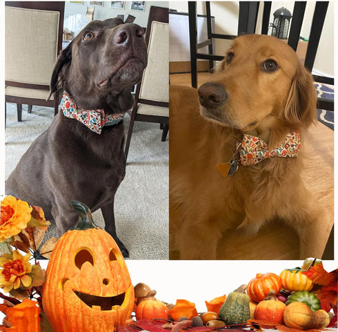 Unique Style Paws 1PCS Dog Bandanas, Washable Cotton Square Bibs for Small Medium Large Dogs and Cats-L