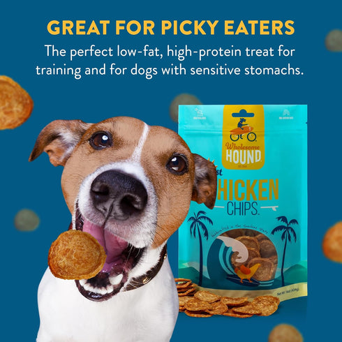 Just Chicken Chips - All Natural Healthy Dog Treats, 16oz for Small, Medium, and Large Breeds