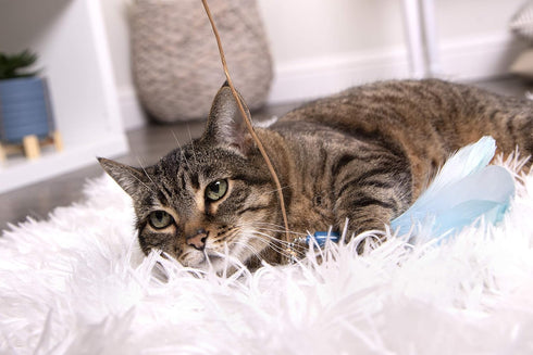 SmartyKat Frisky Flyer Feather Wand Cat Toy - Extendable Up to 24", Blue
