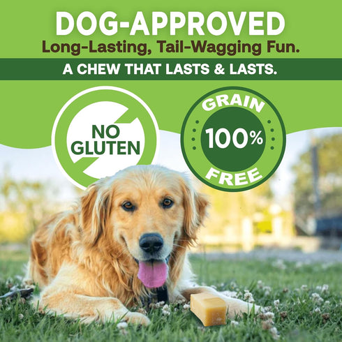 EcoKind Premium Gold Yak Cheese Himalayan Dog Chews, All Natural Dog Treats for Medium Dogs, 3 Chews