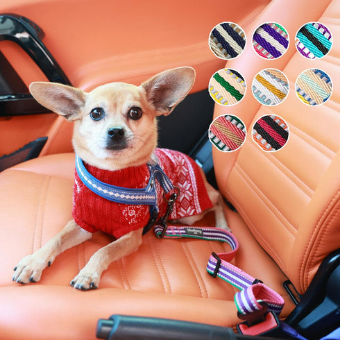 Blueberry Pet Dog Leash, 3M Reflective Adjustable Dog Seat Belt for Car, 1-Inch Width, Violet & River Blue