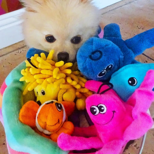 Snuggle Puppy Tender-Tuffs Small Dog Toy - Orange Clownfish for Small Breeds with Puncture Resistant Squeaker