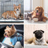 6 36"x24" 50 Counts Boscute Thicken Layers Heavy Absorbent XL Pet Training Dog Pee Pads, Extra Large Polymer Leak-Proof