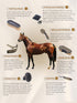 7 Set Harrison Howard Horse Grooming Kit, Piece Horse Brush with Curry Comb, Hoof Pick, Sweat Scraper & Bag Brown