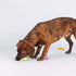 Fringe Studio Plush Dog Toy Set, Small 3 Piece Set, Wild Times, Pet Shop Collection (662052)