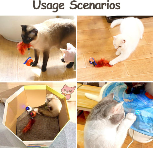 Migipaws Interactive Cat Ball Toy Set, Automatic Rolling Chase Ball with Fluffy Tail, Rechargeable (Orange)