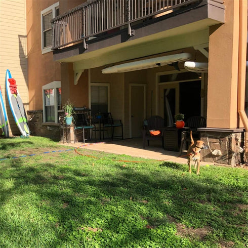 Dog/Puppy Obedience Recall Training Agility Lead - 15 ft, 20 ft, 30 ft, 40 ft, 50 ft Long Leash for Training