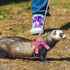 Wontee Small Pet Harness Vest and Leash Set for Gerbil, Guinea Pig, Squirrel, Kitten - M, Pink Star
