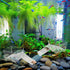 2 Pack Hermit Crab Water Tank with Cuttable Climbing Ramp - Ideal Hermit Crab Pool & Play Tank for Small Animals