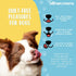Hotspot Pets Pig Ears for Dogs (20 Pack) - All-Natural, Highly Digestible Chews, Rawhide Alternative