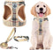 PUPTECK Adjustable Dog Harness Collar and Leash Set, Step in No Pull Pet Harness for Small Medium Dogs, Beige