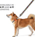 Star Wars for Pets The Mandalorian 4 Foot Dog Leash, 48 Inches, Orange Nylon Leash for All Dogs