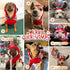 KYEESE Dog Christmas Sweater Hoodie with Leash Hole, Reindeer Snowflake Red Knitwear for Small Dogs, M