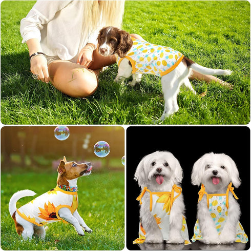 4 Pieces Pet Clothes Set, 2 Cute Dog Dresses and 2 Breathable T-Shirts for Pets (X-Large)