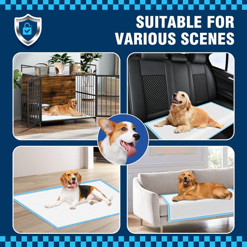 30"x35", 50 Count VJJ Puppy Pads XL Pee Pads for Dogs Large for Doggie&Cats, Disposable Dog Pee Pads Extra Large