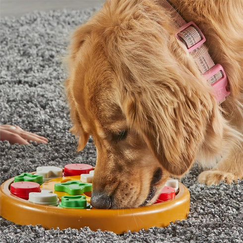 Brightkins Pizza Party! Treat Puzzle - Interactive Dog Puzzle Toys, Fun Gifts for Dogs