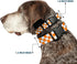 Buckle-Down Plastic Clip Collar - Checker White/TN Orange, 1" Wide, Fits 15-26" Neck